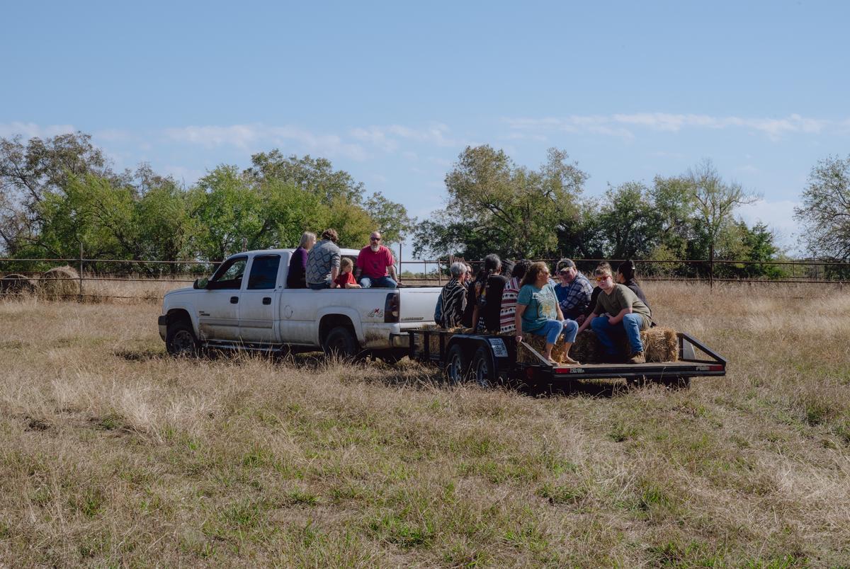 Bison return to Texas Indigenous lands, reconnecting tribes to their